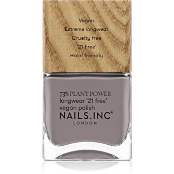 Nails Inc. Vegan Nail Polish dlouhotrvající lak na nehty odstín What's Your Spirituality 14 ml