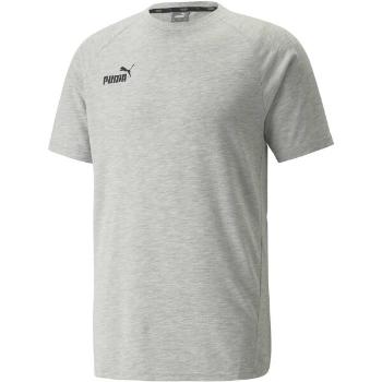 Puma TEAMFINAL CASUALS TEE Pánské triko, šedá, velikost S