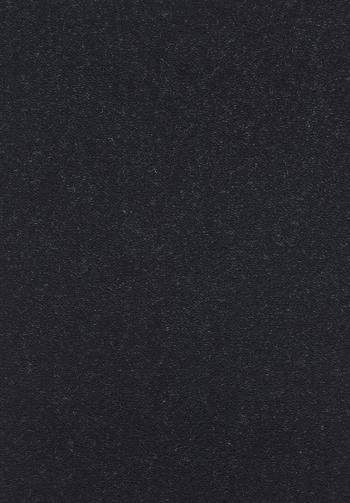 Lano - koberce a trávy Neušpinitelný kusový koberec Nano Smart 800 černý - 400x500 cm Černá