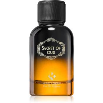 Luxury Concept Secret Of Oud parfémovaná voda unisex 100 ml