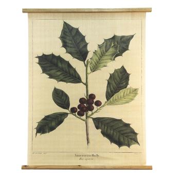 Béžová nástěnná mapa s cesmínou American Holly - 80*2*100 cm 5WK0048