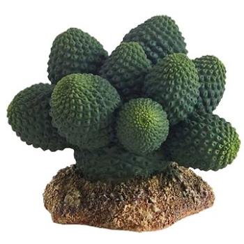 Hobby Kaktus Atacamma 7 cm (4011444370181)