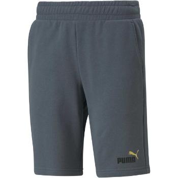 Puma ESS + 2 COL SHORTS 10 Pánské kraťasy, tmavě šedá, velikost S