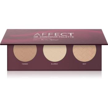 Affect Contour Palette konturovací paletka na obličej 3x6 g