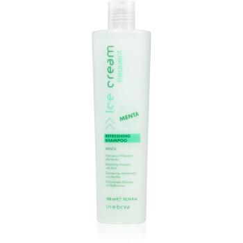 Inebrya Frequent osvěžující šampon pro každodenní použití 300 ml