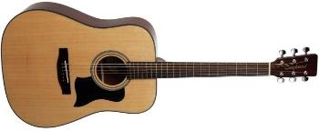 Tanglewood TD8