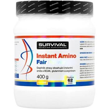 Survival Instant Amino Fair Power 400 g ananas (8594056371624)