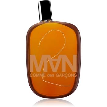 Comme des Garçons 2 Man toaletní voda pro muže 100 ml