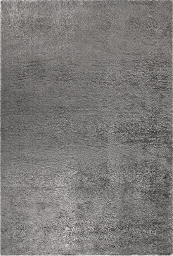 Festival koberce Kusový koberec Carmella K11609-03 Grey (Pearl 500 Grey) - 80x150 cm Šedá