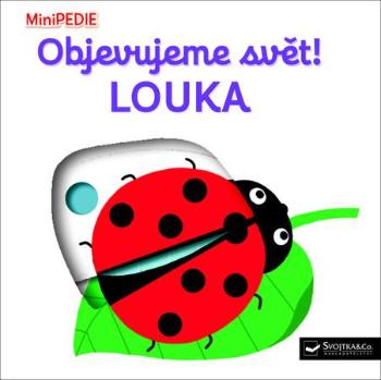 Objevujeme svět! Louka - Choux Nathalie