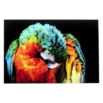 Skleněný obraz Tropical Parrot 120 × 80 cm