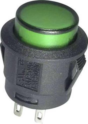 Tlačítko TRU COMPONENTS TC-R13-527AL-02GN, 250 V/AC, 6 A, černá, zelená, 1 ks