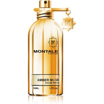 Montale Amber Musk parfémovaná voda unisex 50 ml