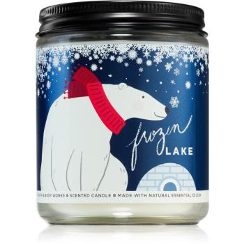 Bath & Body Works Frozen Lake vonná svíčka 198 g