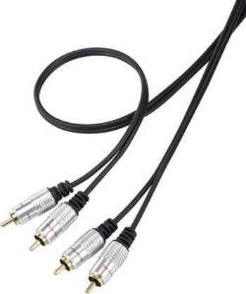 Cinch audio kabel SpeaKa Professional SP-7870144, 1.00 m, černá