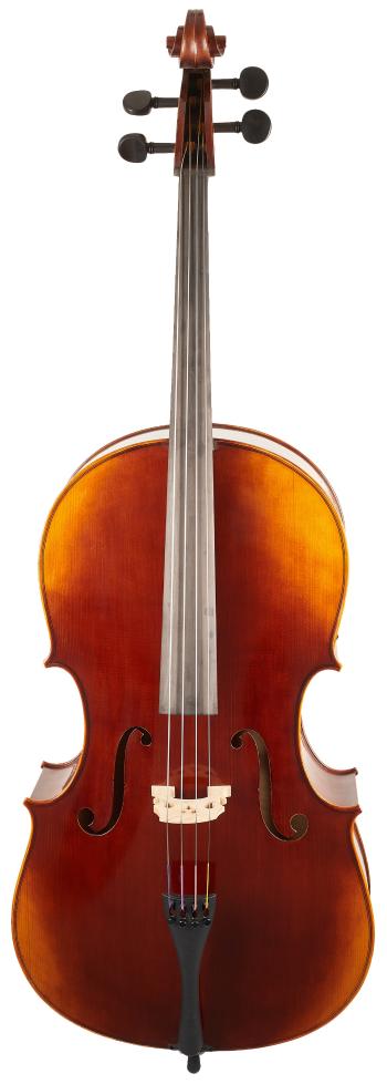 Gewa Maestro 6 Cello 4/4