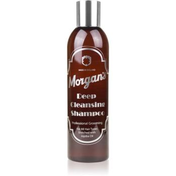 Morgan's Deep Cleansing Shampoo intenzivní šampon pro hloubkové čištění 250 ml