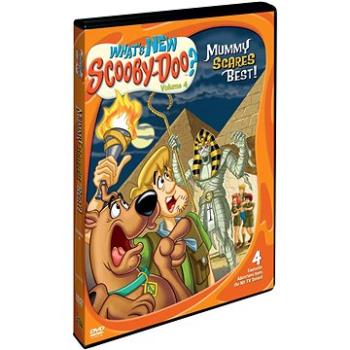 Co nového Scooby-Doo? 4 - DVD (W00266)