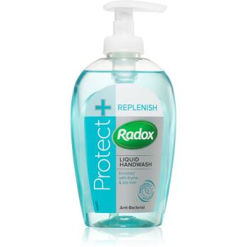Radox Protect + Replenish tekuté mýdlo s antibakteriální přísadou 250 ml