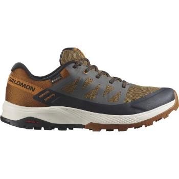 Salomon OUTRISE GTX Pánská turistická obuv, oranžová, velikost 45 1/3