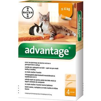 Advantage 4 × 0,4 ml - spot-on pro malé kočky a králíky (4007221013297)