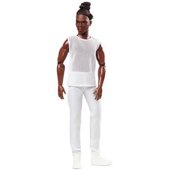 Barbie basic Ken s hnědými vlasy (0887961959468)