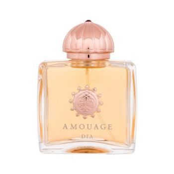 Amouage Dia NEW 100 ml parfémovaná voda pro ženy