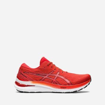 Asics Gel-Kayano 29 1011B440 800