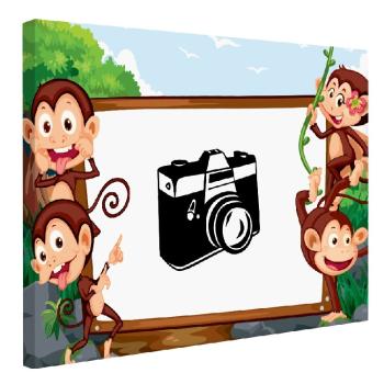 IMPAR Fotoobraz na plátno Monkeys 70x50 cm