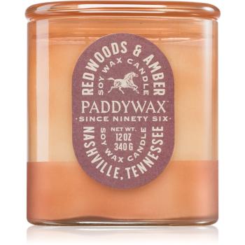 Paddywax Vista Redwoods & Amber vonná svíčka 340 g