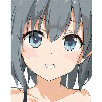 Malování podle čísel - Anime girl portrét (HRAbz33555nad)
