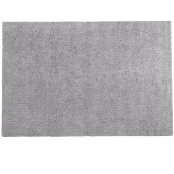 Světle šedý koberec 200x300 cm DEMRE, 68587 (beliani_68587)