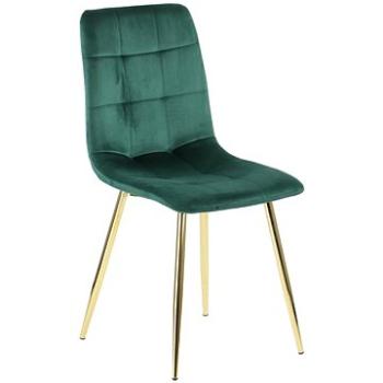 Židle CN-6004 židle zelená zlatý rám (Stema_5903917404754)