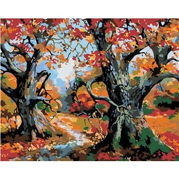 Malování podle čísel - Stromy a podzimní krajina (HRAmal00203nad)