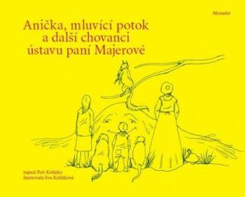 Anička, mluvící potok a další chovanci ústavu paní Majerové - Petr Koťátko