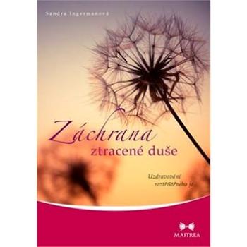 Záchrana ztracené duše: Uzdravování roztříštěného já (978-80-7500-114-6)