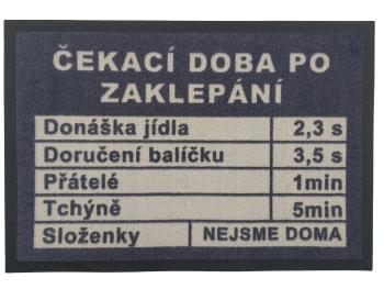 Mujkoberec.cz Rohožka Čekací doba 40x60 cm - 40x60 cm Šedá