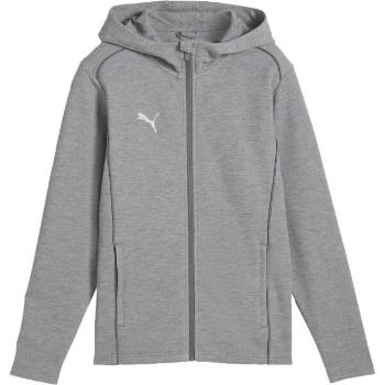 Puma TEAMFINAL CASUALS HOODED JACKET Pánská sportovní mikina, šedá, velikost