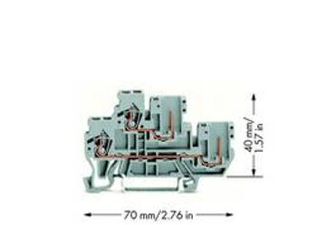 Dvojitá hlavní svorka WAGO 870-101, osazení: L, pružinová svorka, 5 mm, šedá, 50 ks