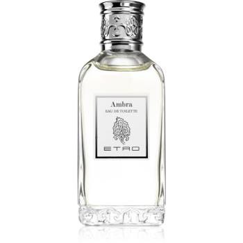 Etro Ambra toaletní voda unisex 100 ml