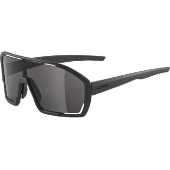 Alpina Sports BONFIRE Sluneční brýle, černá, velikost UNI