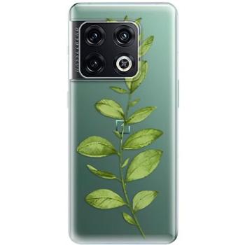 iSaprio Green Plant 01 pro OnePlus 10 Pro (grpla01-TPU3-op10pro)