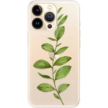 iSaprio Green Plant 01 pro iPhone 13 Pro Max (grpla01-TPU3-i13pM)