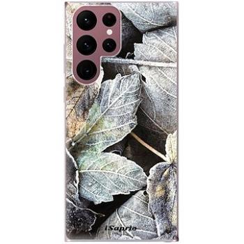 iSaprio Old Leaves 01 pro Samsung Galaxy S22 Ultra 5G (oldle01-TPU3-S22U-5G)