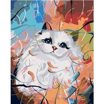 Malování podle čísel - Bílá kočička a barevné pozadí (HRAmal01119nad)