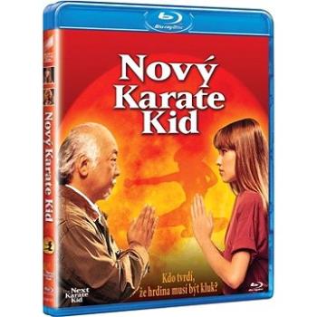 Nový Karate Kid - Blu-ray (BD001077)