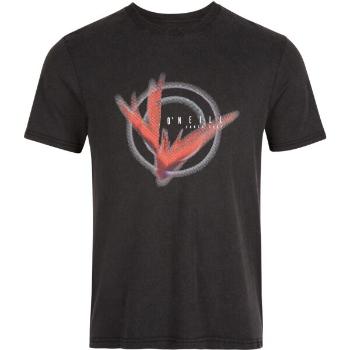 O'Neill BAYS T-SHIRT Pánské tričko, černá, velikost M