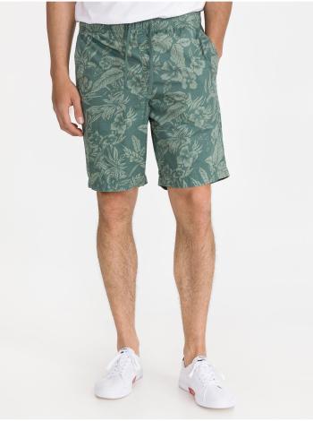 Zelené pánské šortky print easy shorts GAP