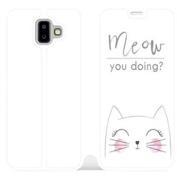 Flipové pouzdro na mobil Samsung Galaxy J6 Plus 2018 - M098P Meow you doing? (5903226510559)