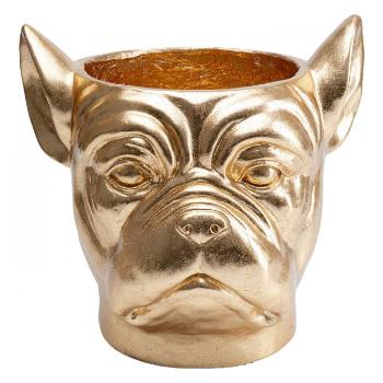 Dekorativní květináč Bulldog – zlatý